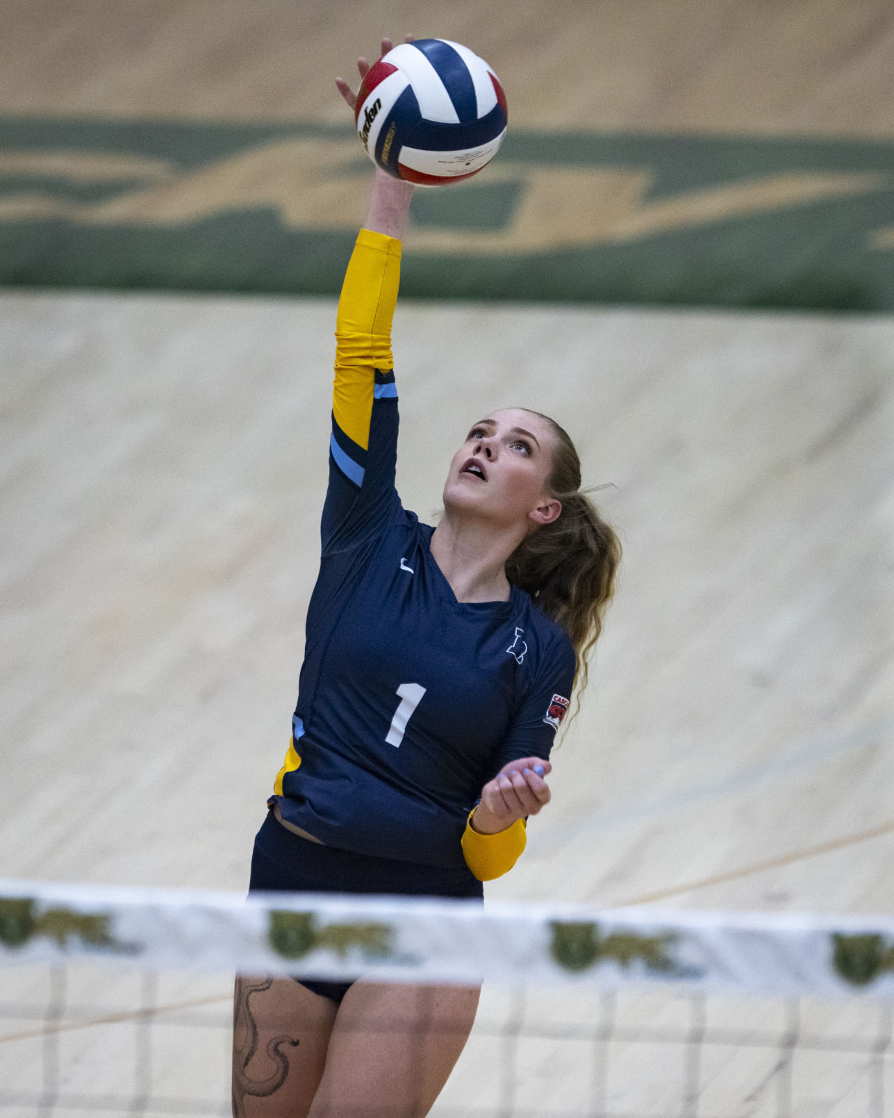 Rocky Mountain College vs. Bushnell University